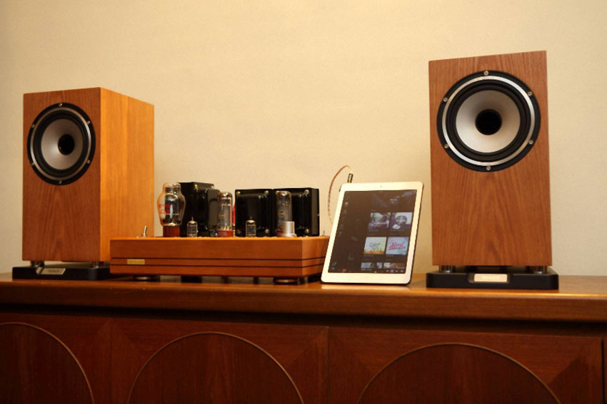 Loa Tannoy Revolution XT6