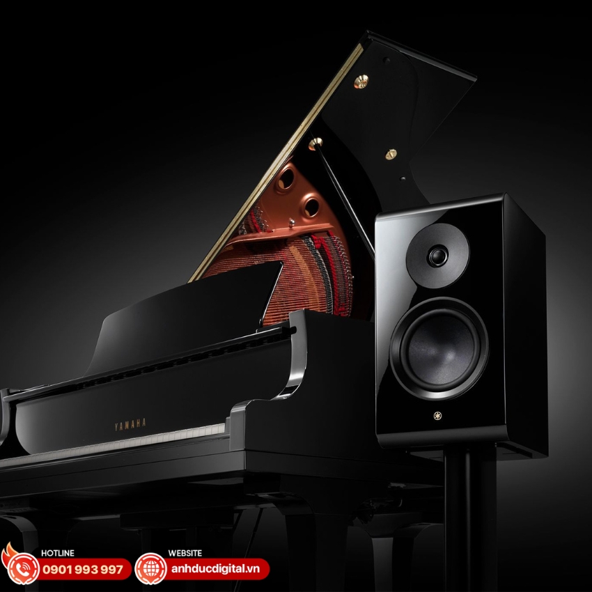 Yamaha NS-800A có thiết kế sang trọng, tinh tế
