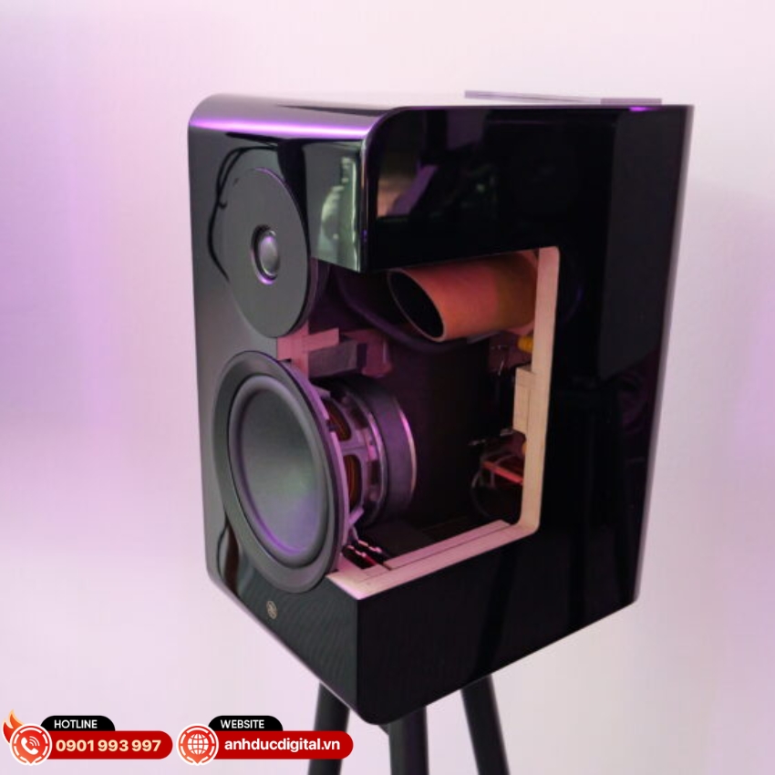 Thùng loa của NS-800A được thiết kế dựa trên phân tích FEM