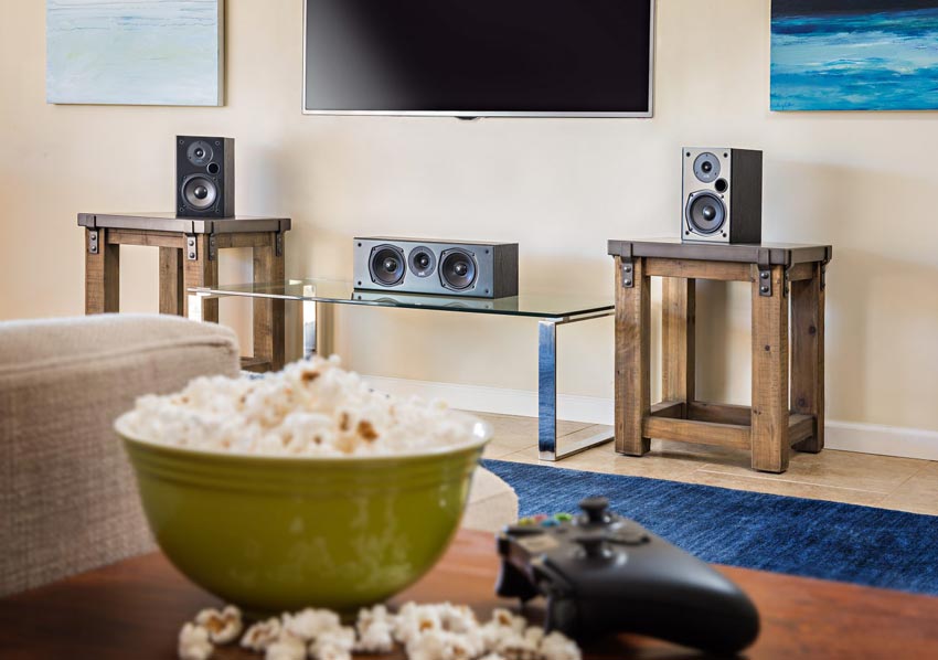 Polk Audio T30