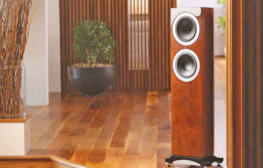Củ loa đồng trục chất lượng