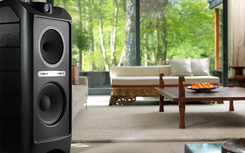 Củ loa đồng trục chất lượng