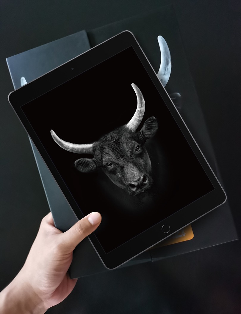 Mipow Kingbull Premium HD (2.7D) for iPad Gen 10 03