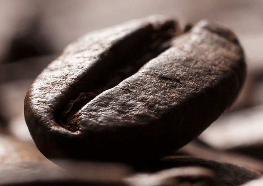 Khám phá mọi thứ nhờ cụm camera ấn tượng