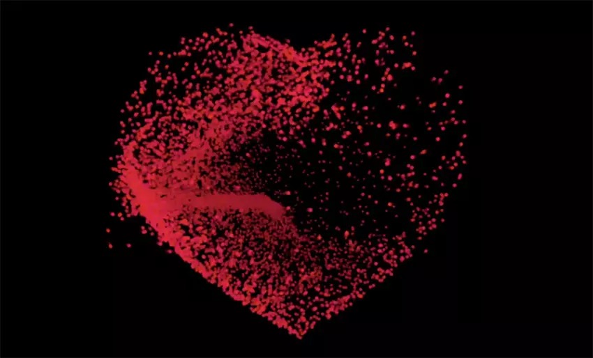 Trựo lý theo dõi sức khoẻ