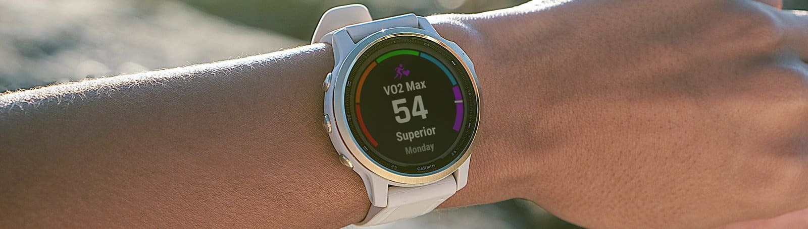 Garmin Fenix 6S Sapphire 23