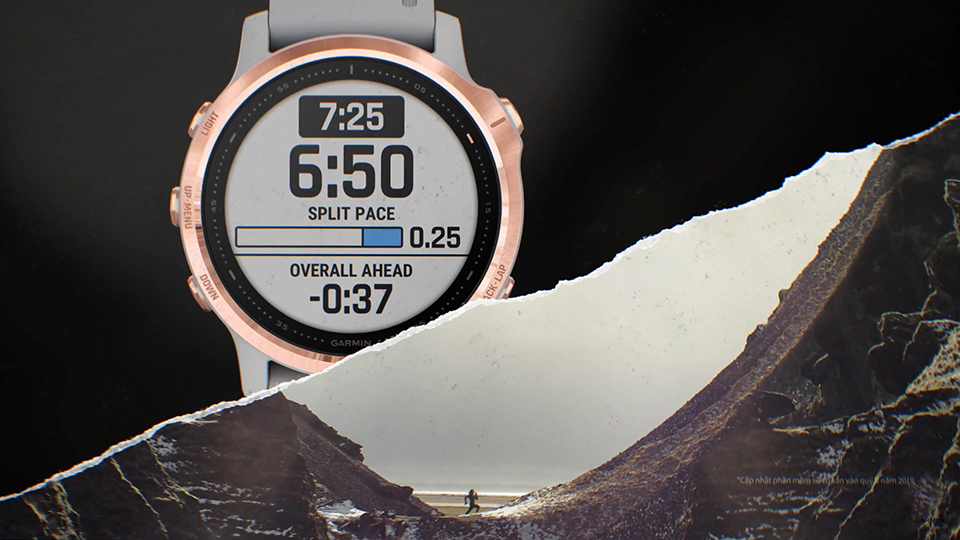 Garmin Fenix 6S Sapphire 25