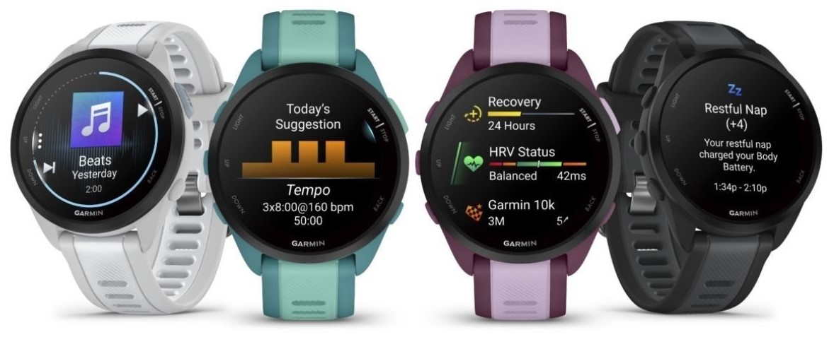 Thiết kế thanh lịch, hiện đại