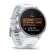 Garmin Forerunner 170 | Whitestone / Blue (Chính hãng)