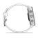 Garmin Forerunner 170 | Whitestone / Blue (Chính hãng)