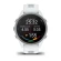 Garmin Forerunner 170 | Whitestone / Blue (Chính hãng)