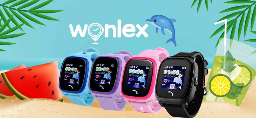 Wonlex GW400S 05