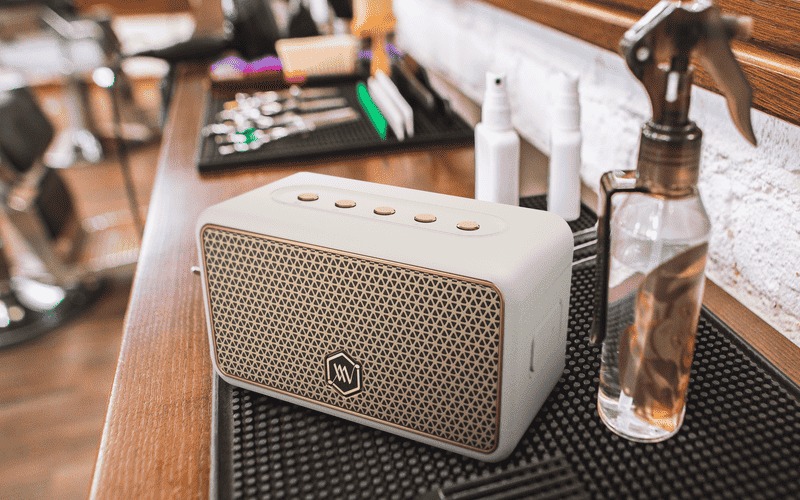 Chất âm chân thật