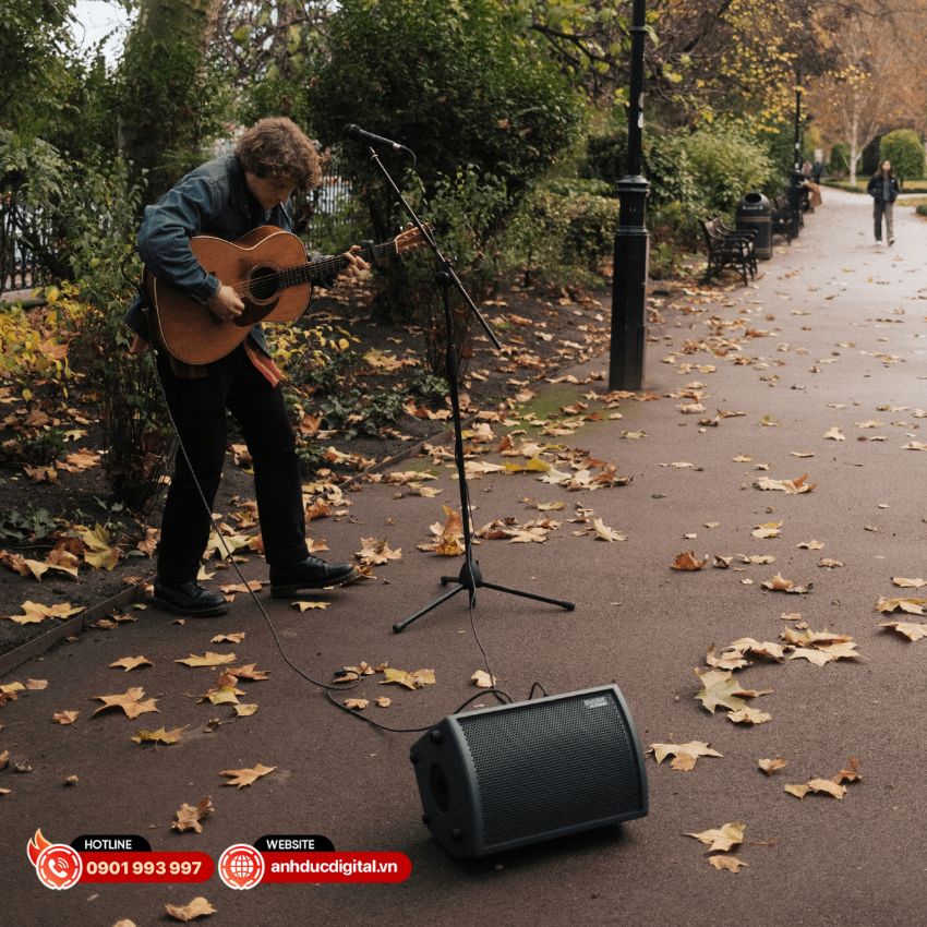 Loa C-Music By Celestion BA28 - 8