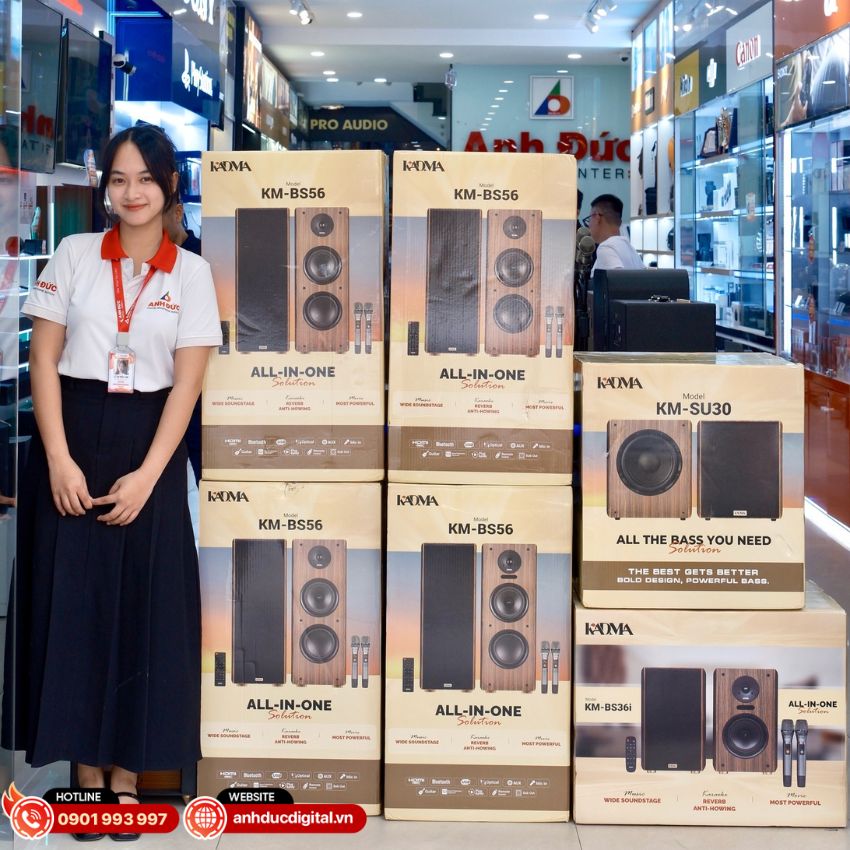 Loa karaoke di động chính hãng giá tốt