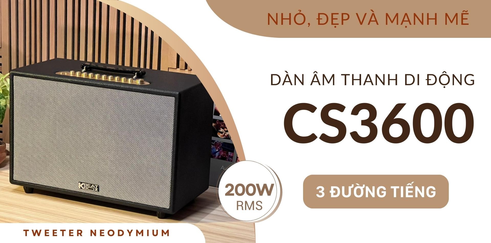 Hệ thống củ loa cao cấp