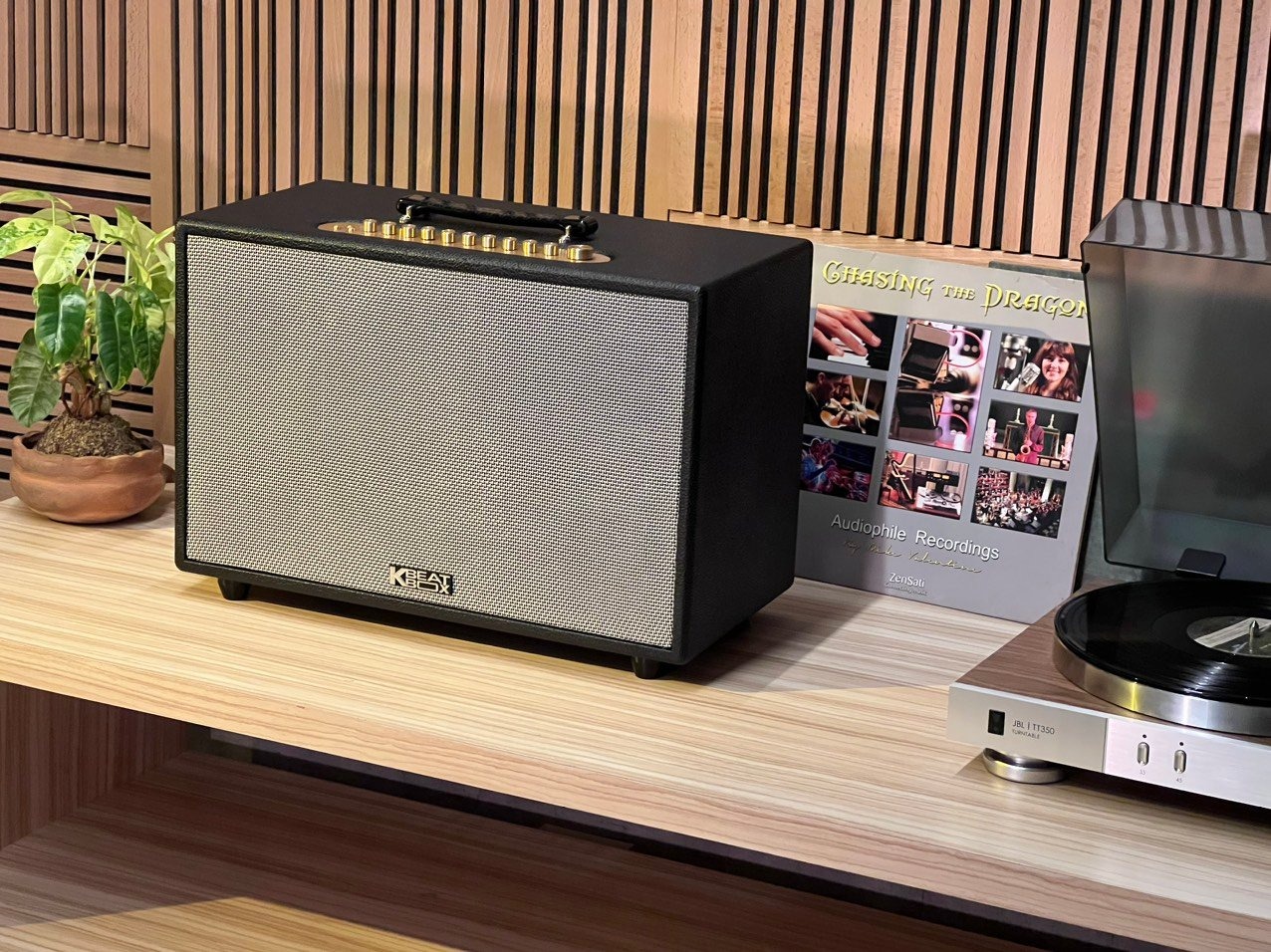 Công nghệ Mic Wireless Stereo