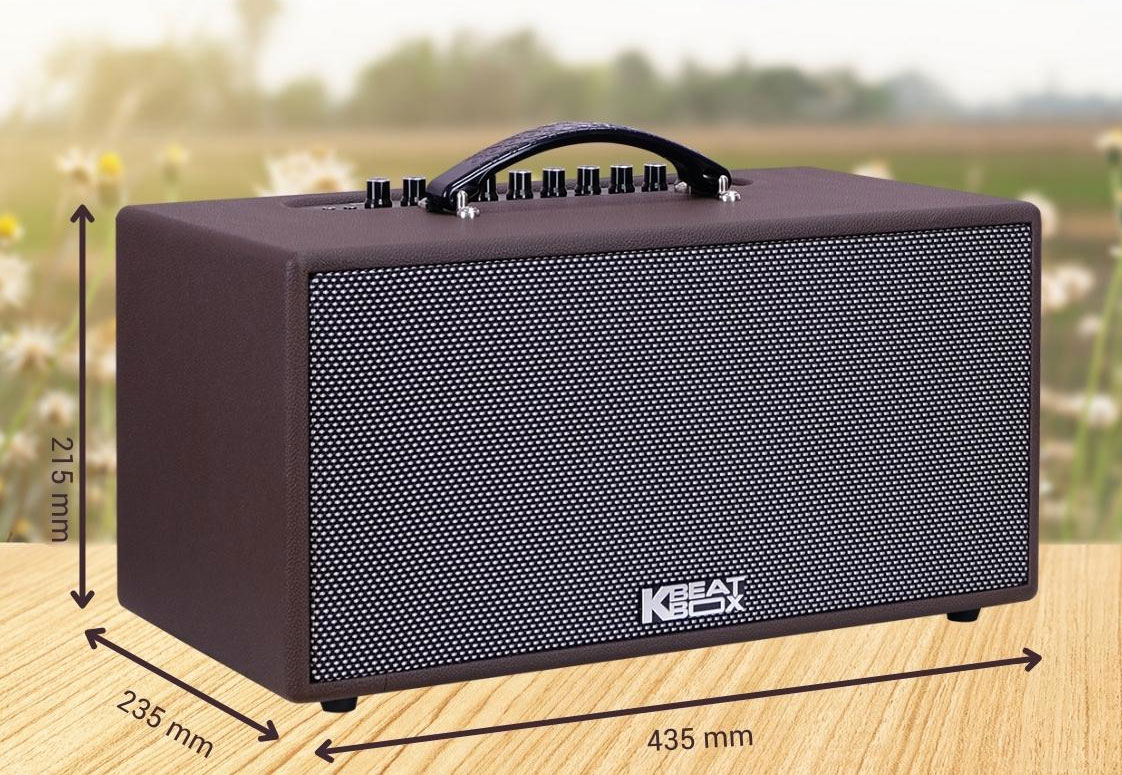 Loa-Karaoke-Acnos-CS391-12