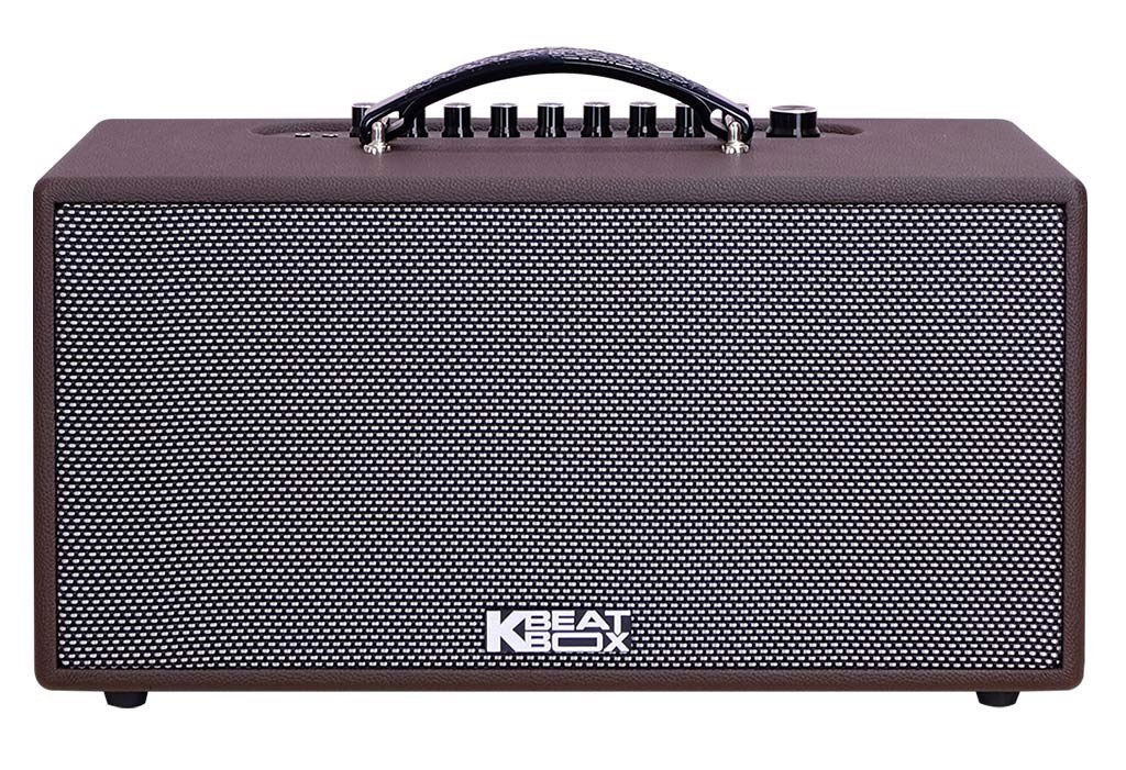 Loa-Karaoke-Acnos-CS391-13