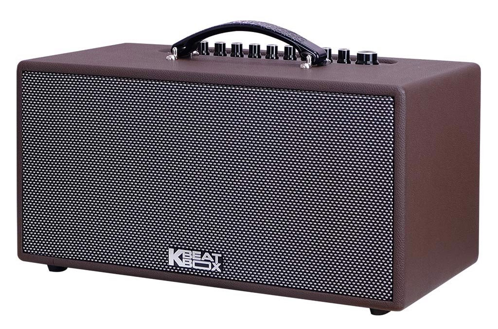 Loa-Karaoke-Acnos-CS391-16