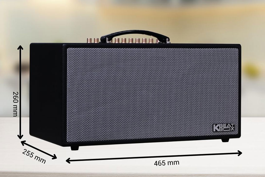 Loa-Karaoke-Acnos-CS450-Alpha-11