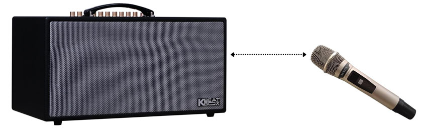 Loa-Karaoke-Acnos-CS450-Alpha-12