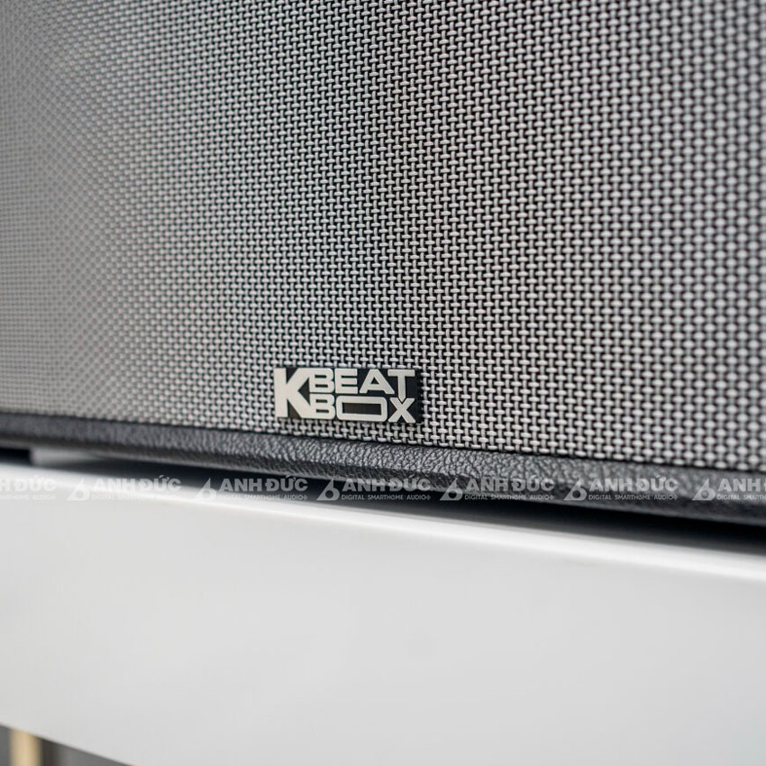 Loa-karaoke-Acnos-FLAC-36-18