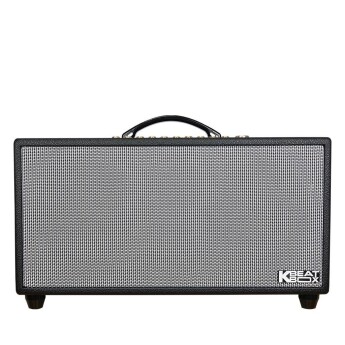 Loa Karaoke Acnos HiNet 450 (Chính Hãng)