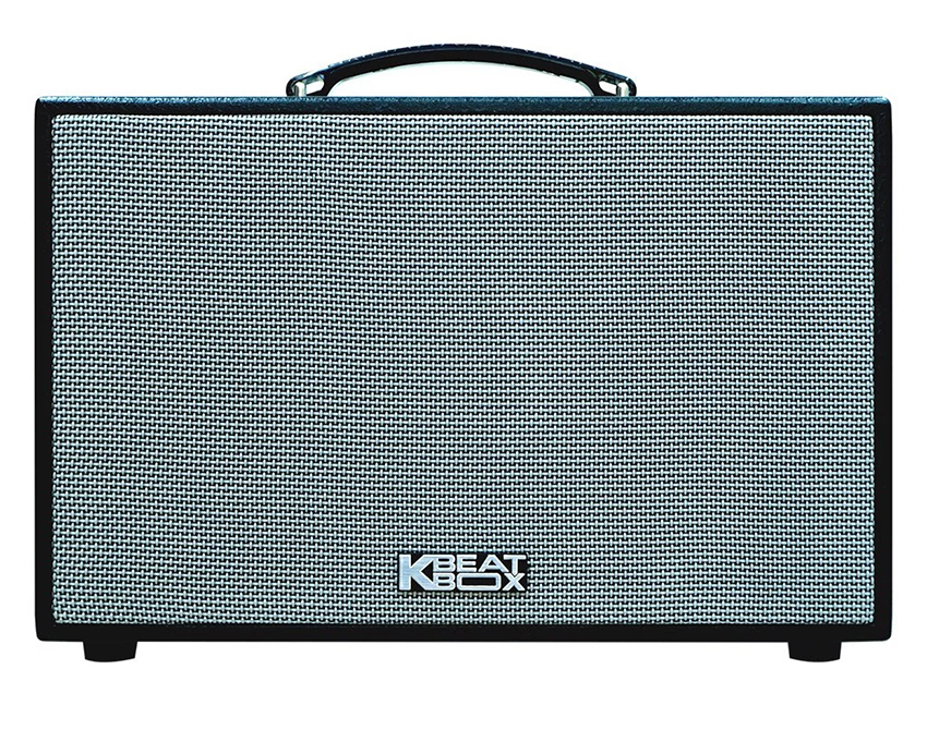 Loa Karaoke Acnos CS200SON