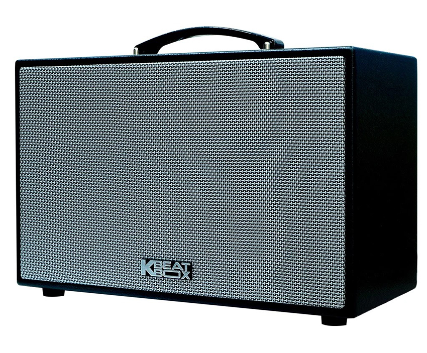 Loa Acnos CS250SON