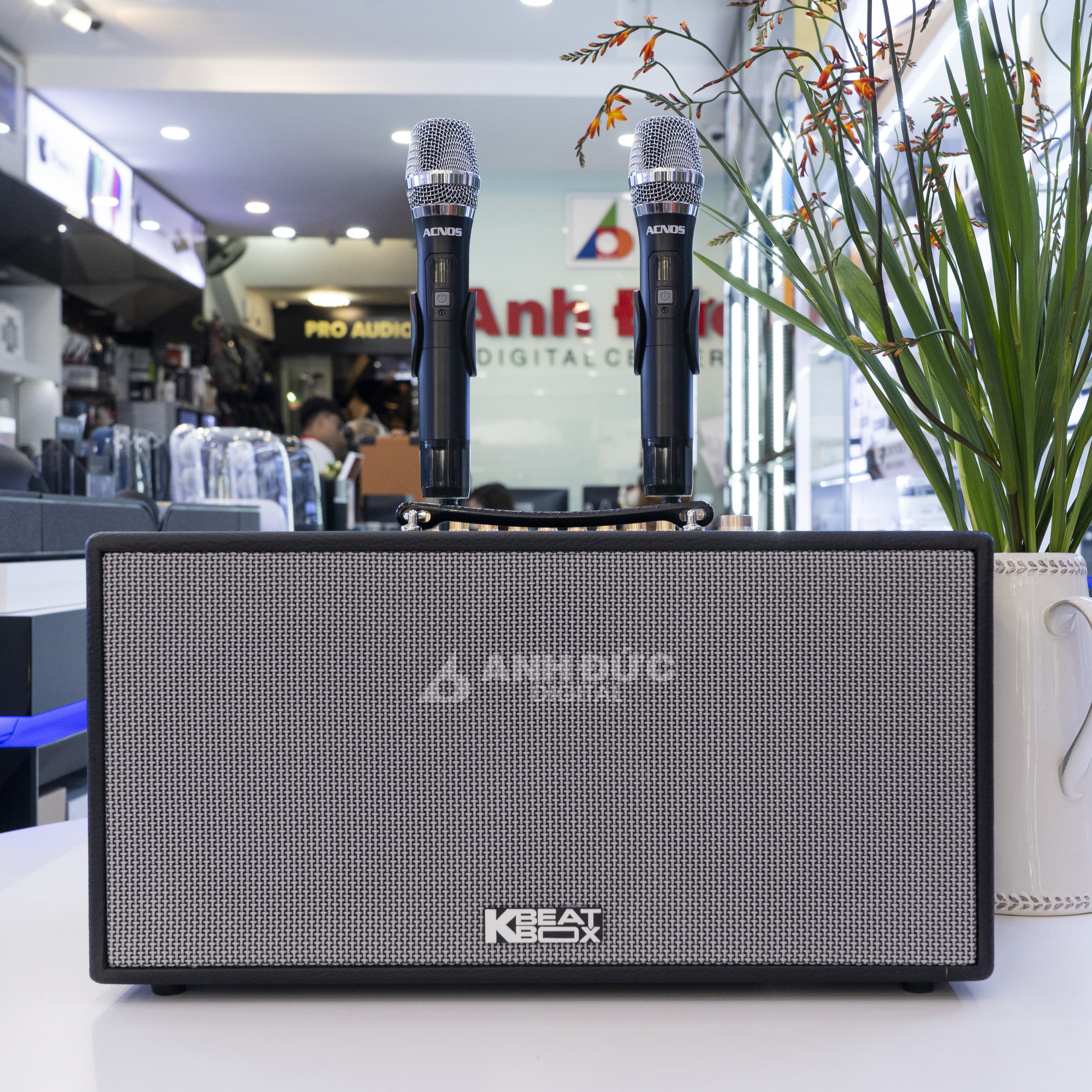 Loa Karaoke Acnos HN447 30