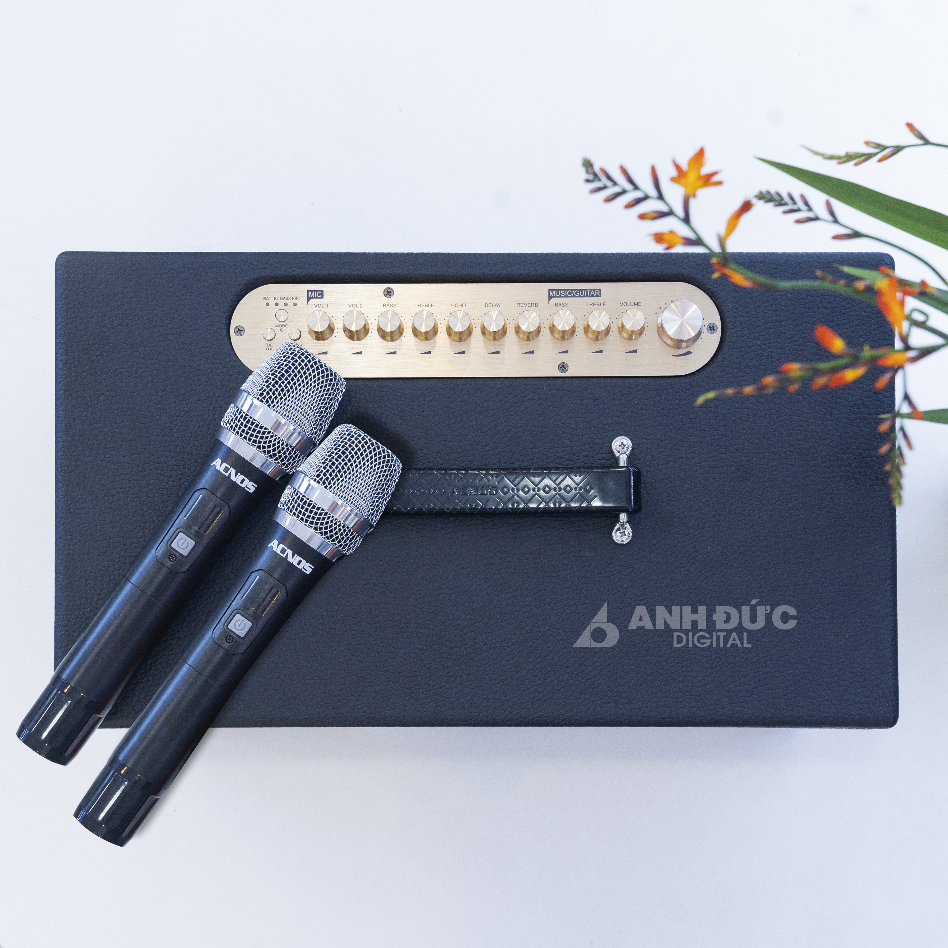 Loa Karaoke Acnos HN447 31