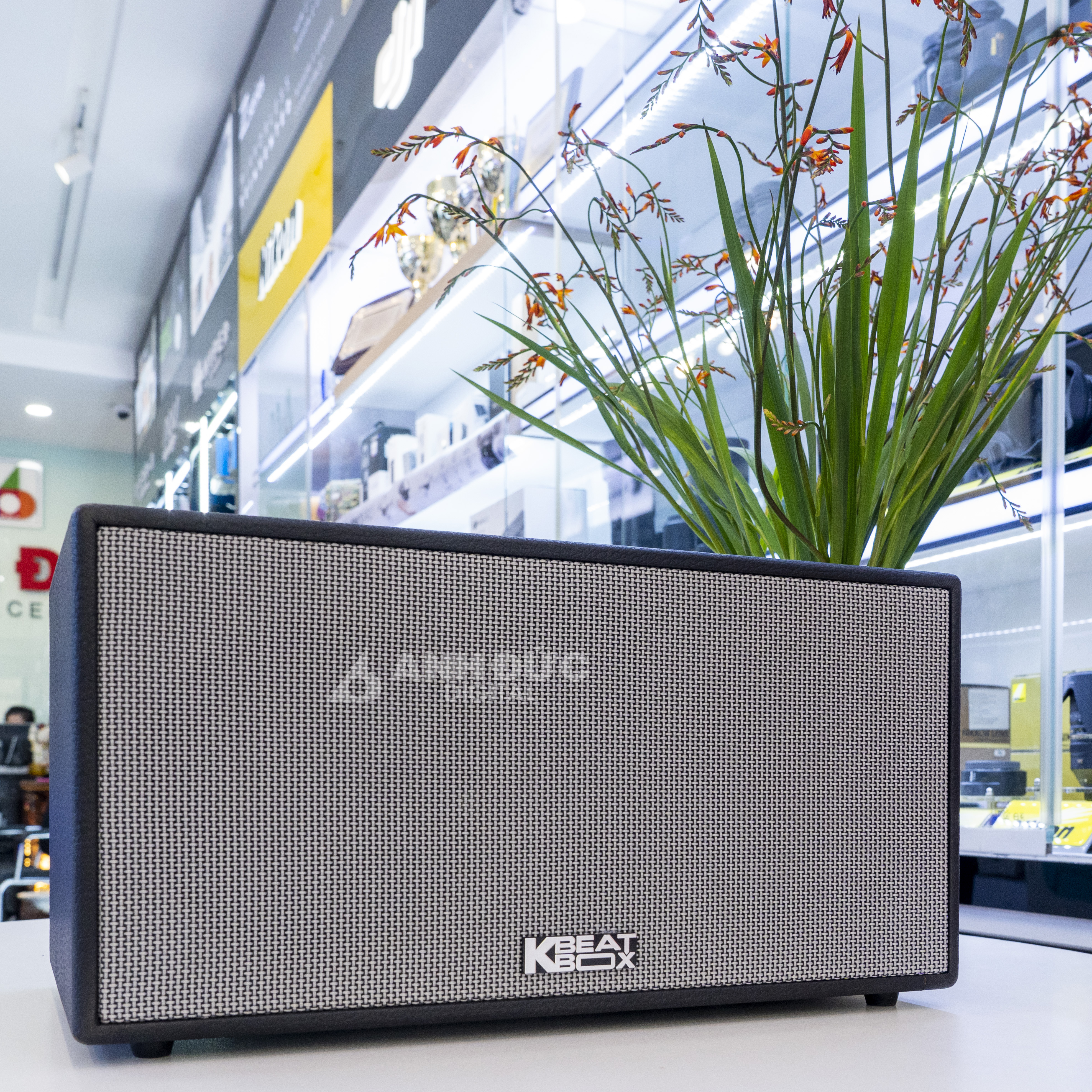 Loa Karaoke Acnos HN447 34