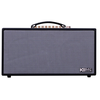 Loa Karaoke Acnos HN450 (Chính Hãng)