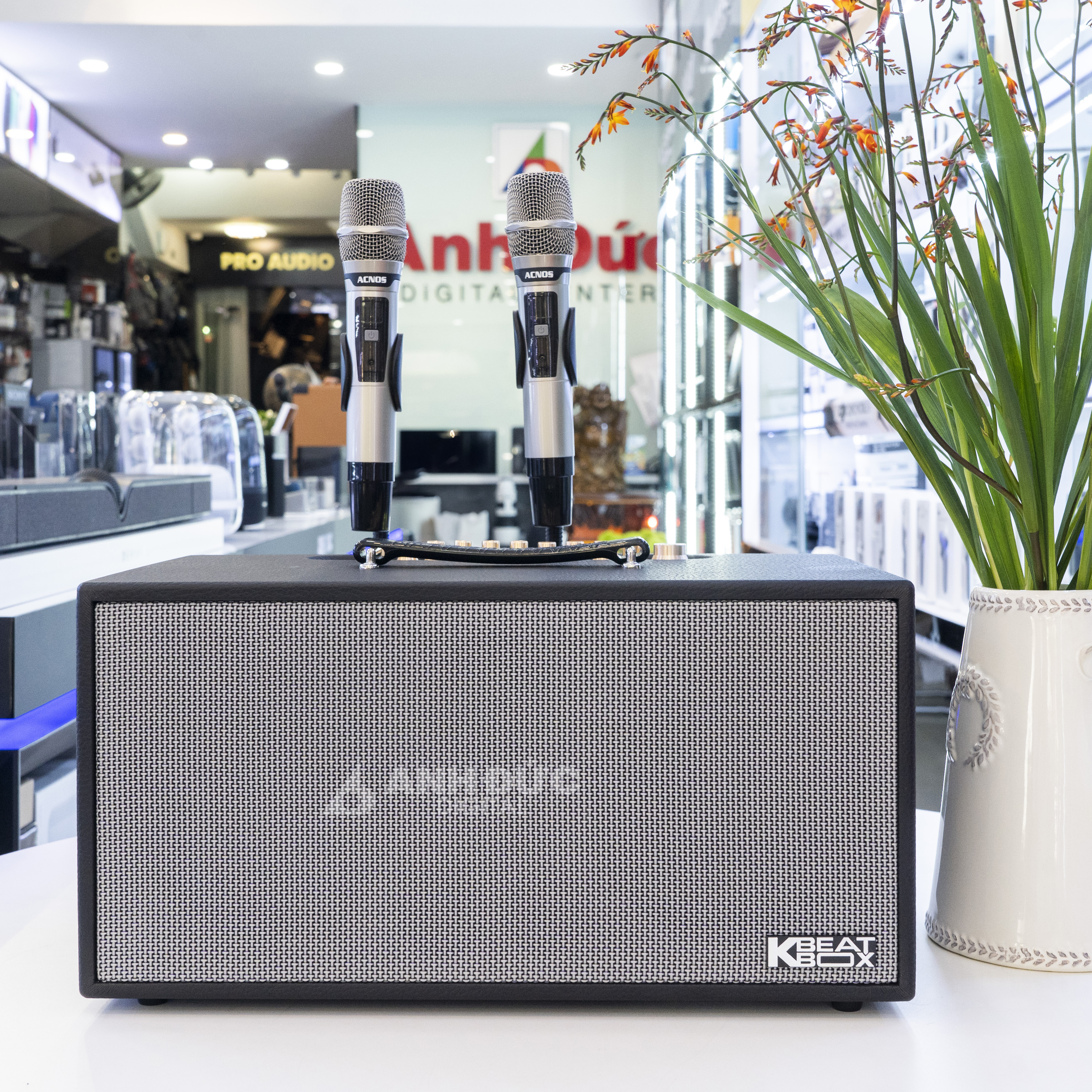 Loa Karaoke Acnos HN450 30