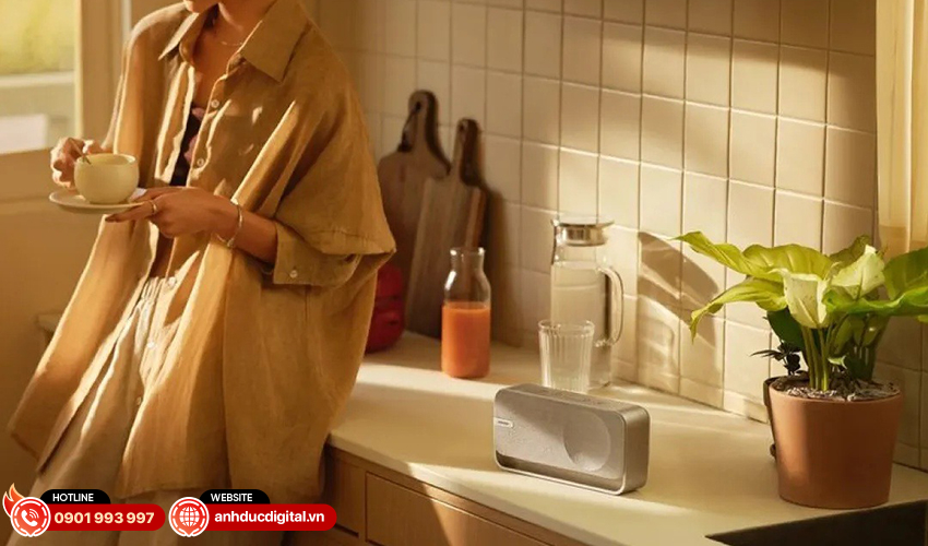 Loa Bose SoundLink Home Bluetooth Speaker 12