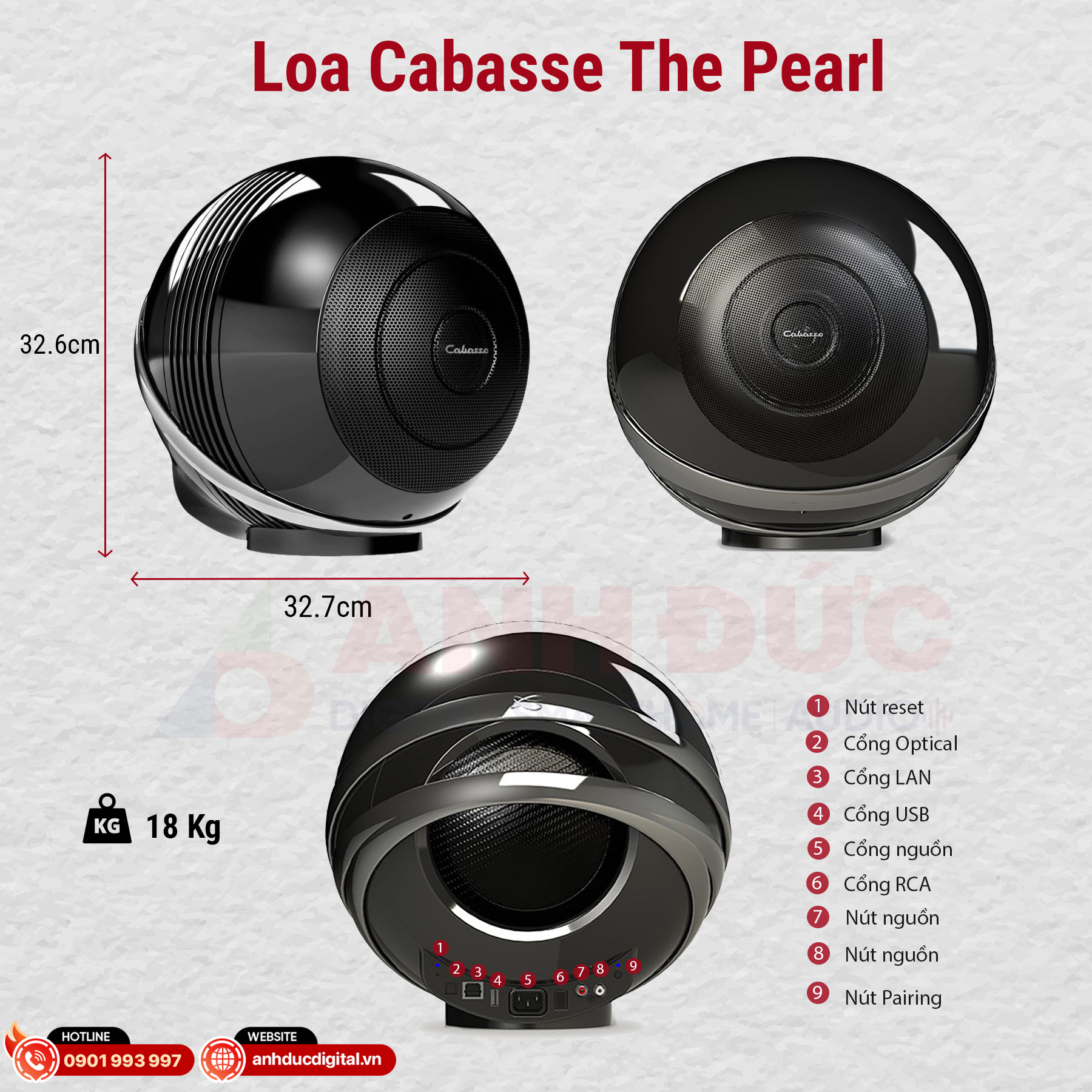 ảnh tổng quan loa pearl 1