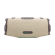 VT0019361 Loa JBL Charge 6 | Sand (Chính hàng)