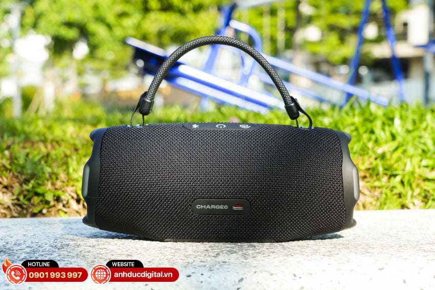 Loa Charge 6 - 12.JPG