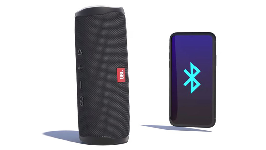 Loa JBL Flip 5 6