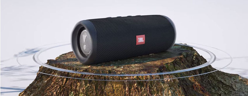 Loa JBL Flip 5 10
