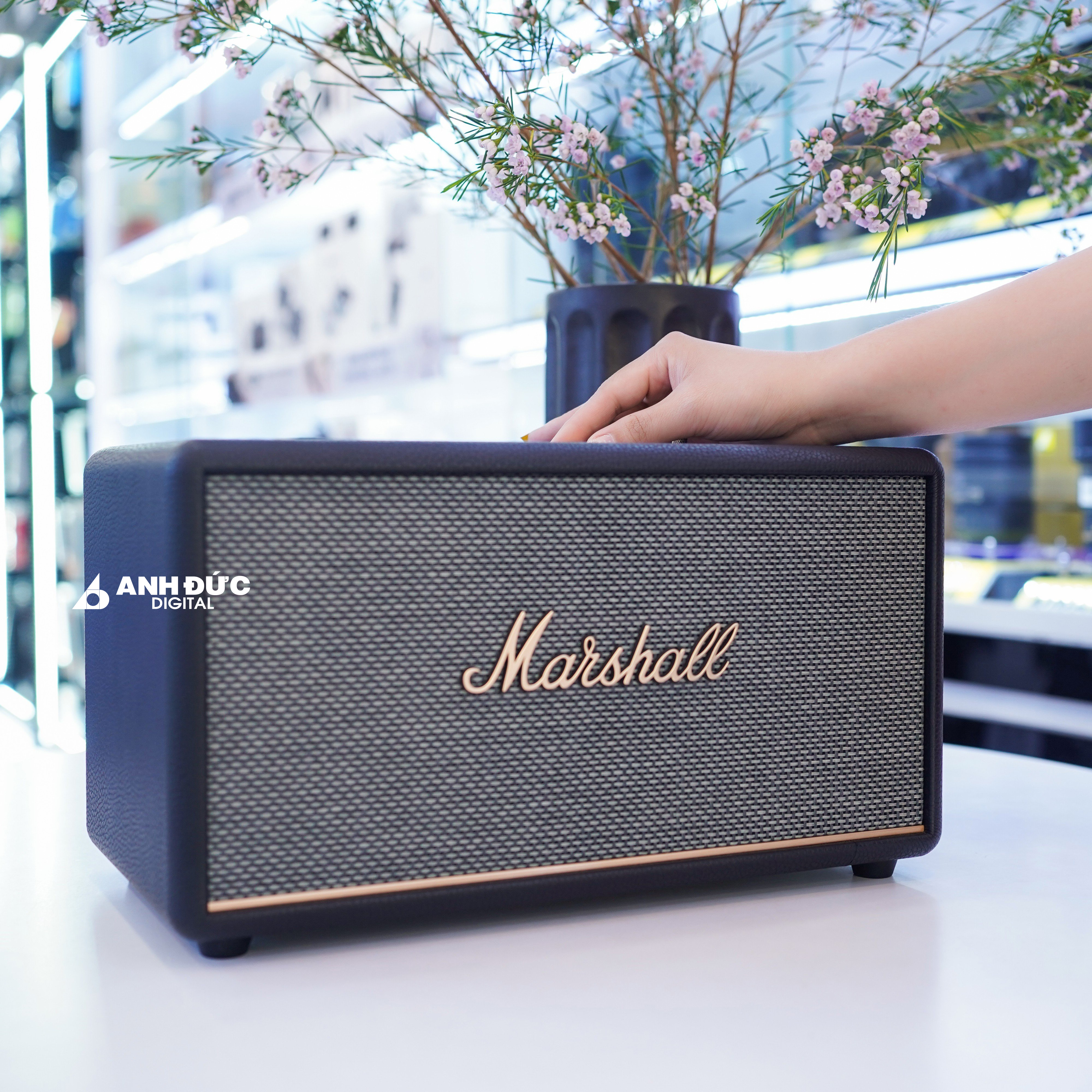 Marshall-Stanmore-III-33