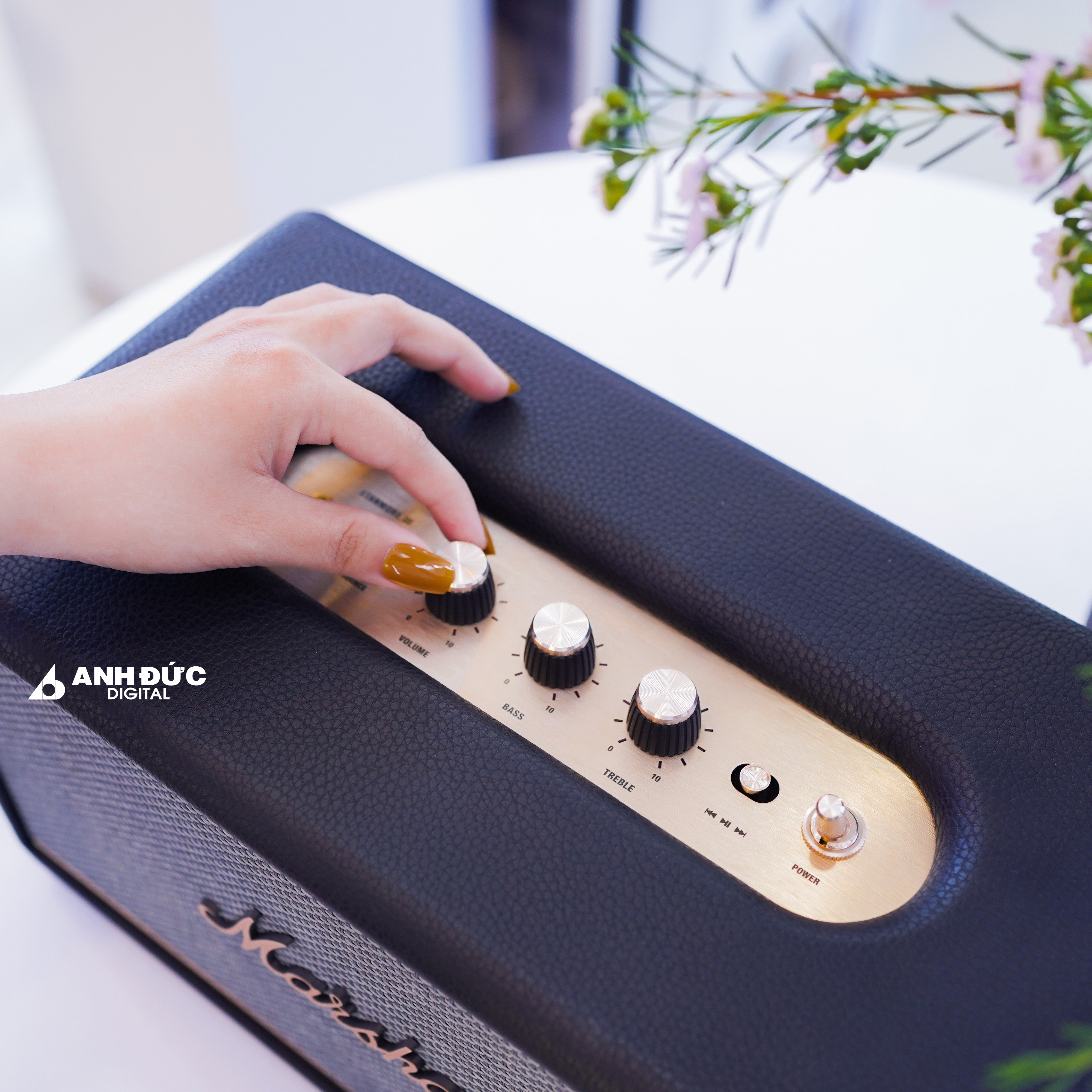 Marshall-Stanmore-III-35