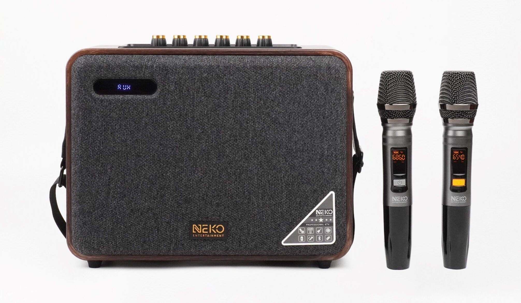 Hai micro không dây chất lượng cao