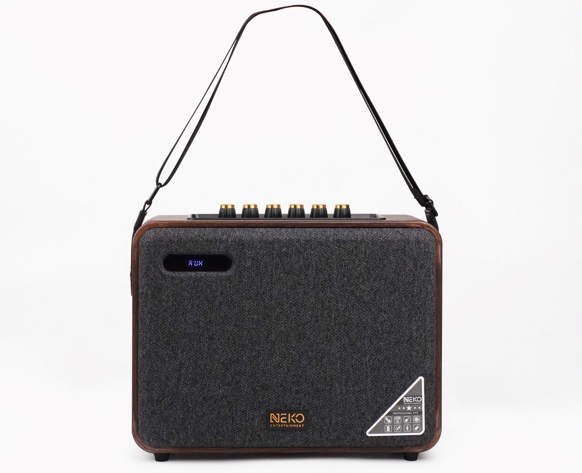 Chất âm mạnh mẽ