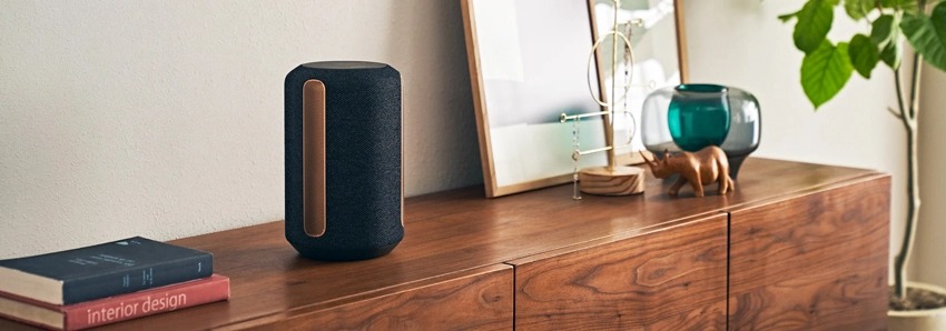 Sony SRS-RA3000 17