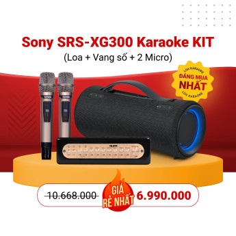 Loa Sony SRS-XG300 Portable Karaoke Kit (Chính Hãng)