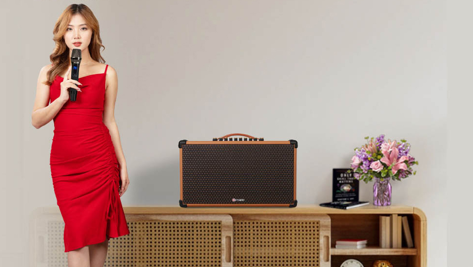 Thiết kế di động gọn nhẹ 