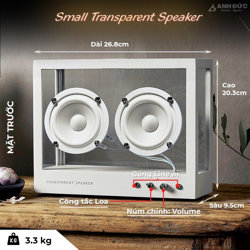 Small-Transparent-Speaker-20
