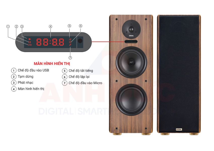 Kadma BS56